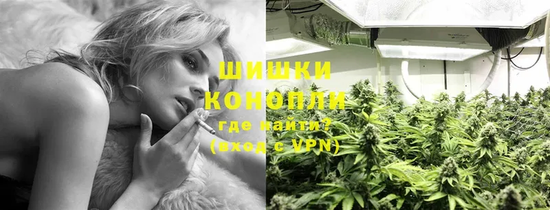 купить закладку  Красноярск  Конопля ГИДРОПОН 